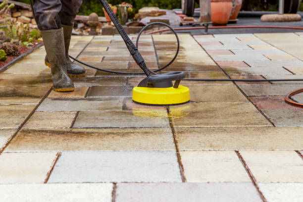Best Roof Washing  in Lewisburg, WV
